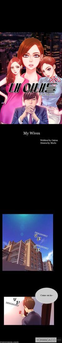 [mojo] My Wives Ch. 1-9 [english] [yomanga] manga cover